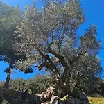 Peloponnese Hideout - Traditional Stone House *