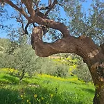Vila Peloponnese Hideout - Traditional Stone House Akrata