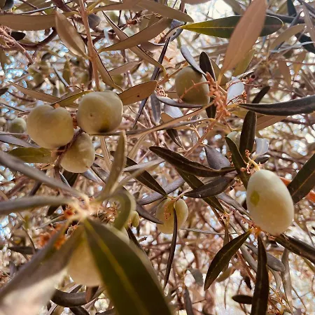 Peloponnese Hideout - Traditional Stone House *