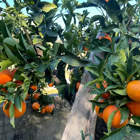 Peloponnese Hideout - Traditional Stone House