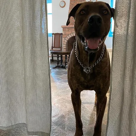 Peloponnese Hideout - Traditional Stone House Villa *