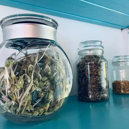 Peloponnese Hideout - Traditional Stone House Ακράτα