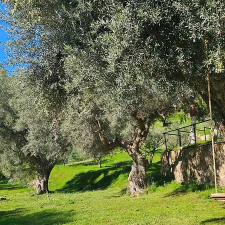 Peloponnese Hideout - Traditional Stone House * Akrata