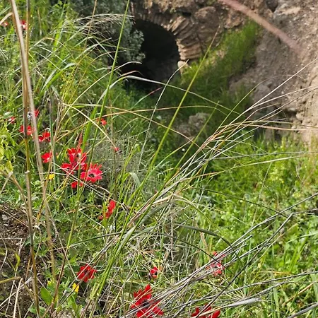 Βίλα Peloponnese Hideout - Traditional Stone House Ακράτα
