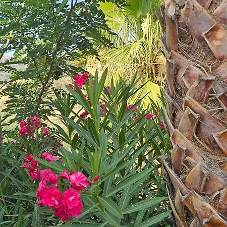 Peloponnese Hideout - Traditional Stone House Ακράτα