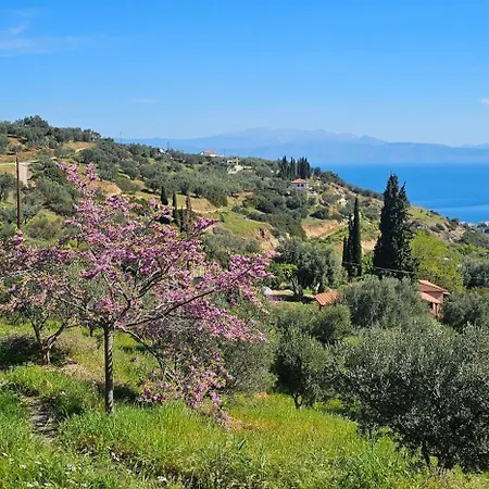 Villa Peloponnese Hideout - Traditional Stone House *