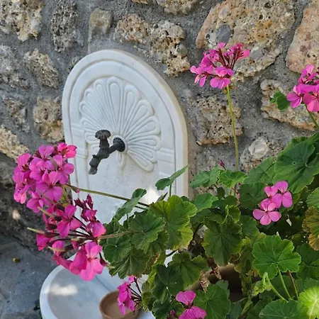 Peloponnese Hideout - Traditional Stone House Villa Akrata