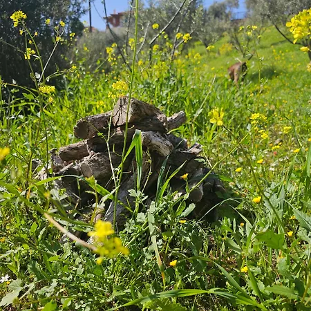 빌라 Peloponnese Hideout - Traditional Stone House