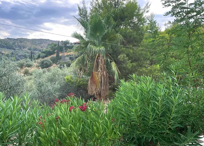 Villa Peloponnese Hideout - Traditional Stone House
