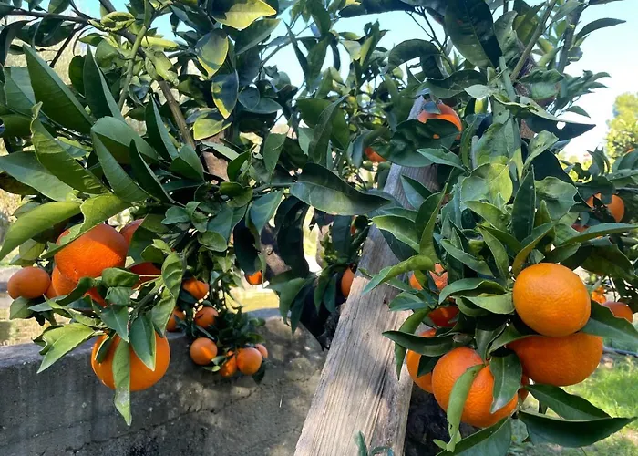 Peloponnese Hideout - Traditional Stone House