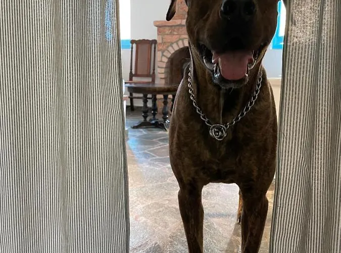 Peloponnese Hideout - Traditional Stone House Vila *