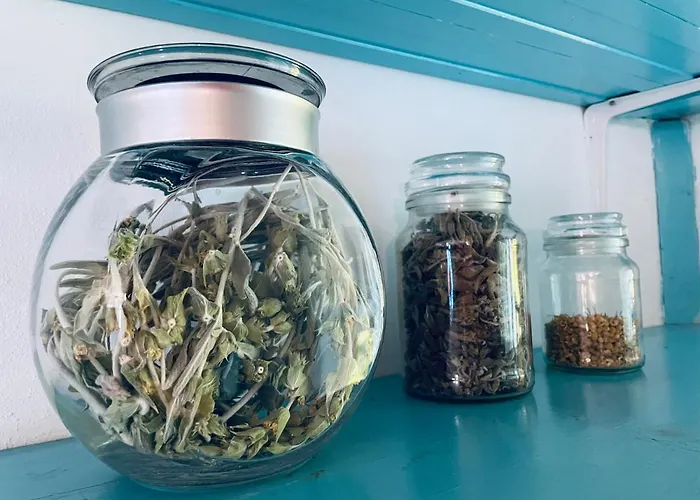 Peloponnese Hideout - Traditional Stone House Акрата