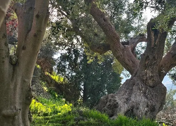 Peloponnese Hideout - Traditional Stone House Вилла Акрата