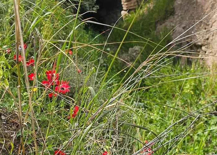 Vila Peloponnese Hideout - Traditional Stone House Akrata