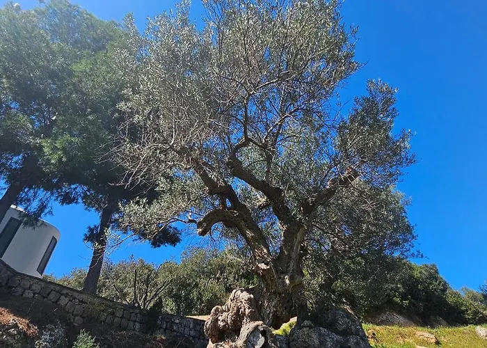 Peloponnese Hideout - Traditional Stone House *