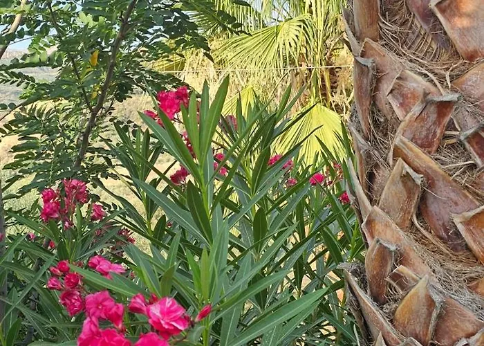 Peloponnese Hideout - Traditional Stone House Akrata