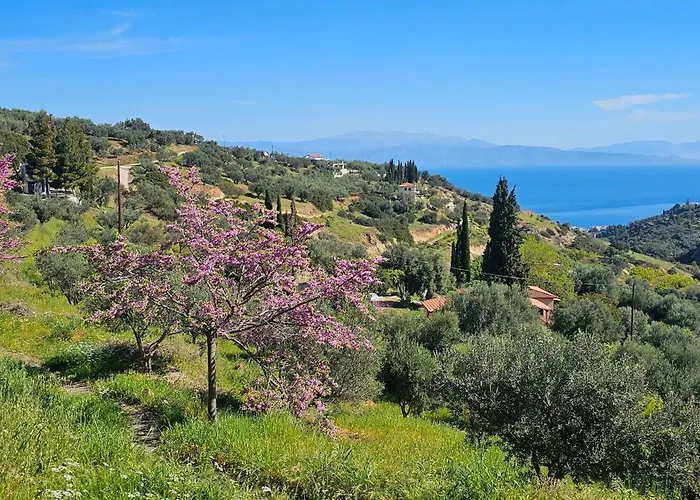 Villa Peloponnese Hideout - Traditional Stone House *