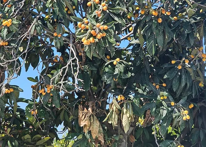 Peloponnese Hideout - Traditional Stone House Villa