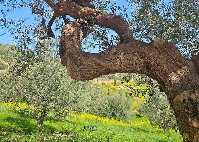 Вилла Peloponnese Hideout - Traditional Stone House Акрата