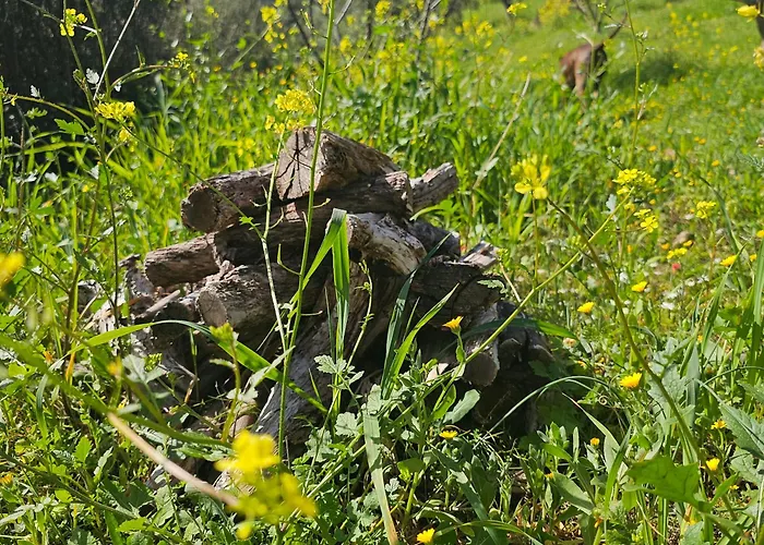 Вилла Peloponnese Hideout - Traditional Stone House