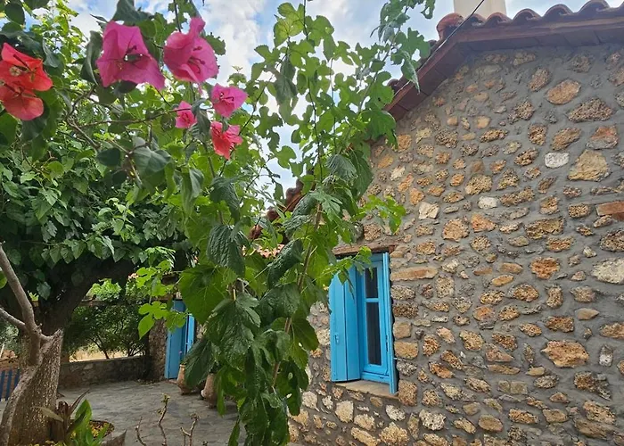 Vila Peloponnese Hideout - Traditional Stone House Akrata